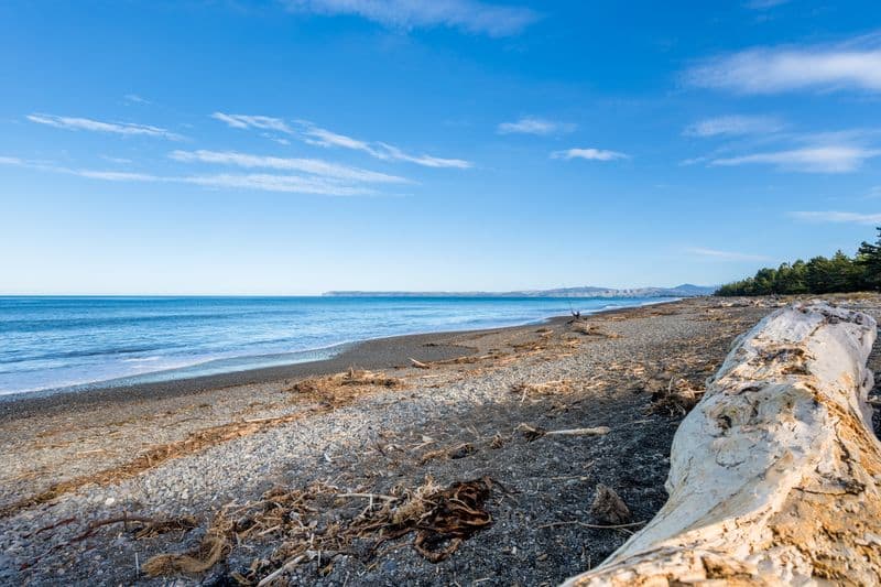 11 Ngaio Street, Rarangi, Marlborough, Marlborough | Tall Poppy 