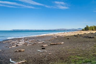 11 Ngaio Street, Rarangi-Blenheim-Marlborough, Blenheim-Marlborough, Marlborough | Tall Poppy 