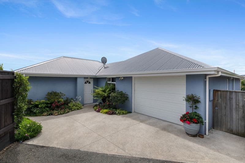 16A Ashwood Drive, Witherlea, Blenheim