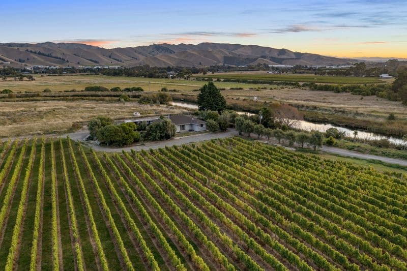 686 Dillons Point Road, Dillons Point, Marlborough, Marlborough | Tall Poppy 