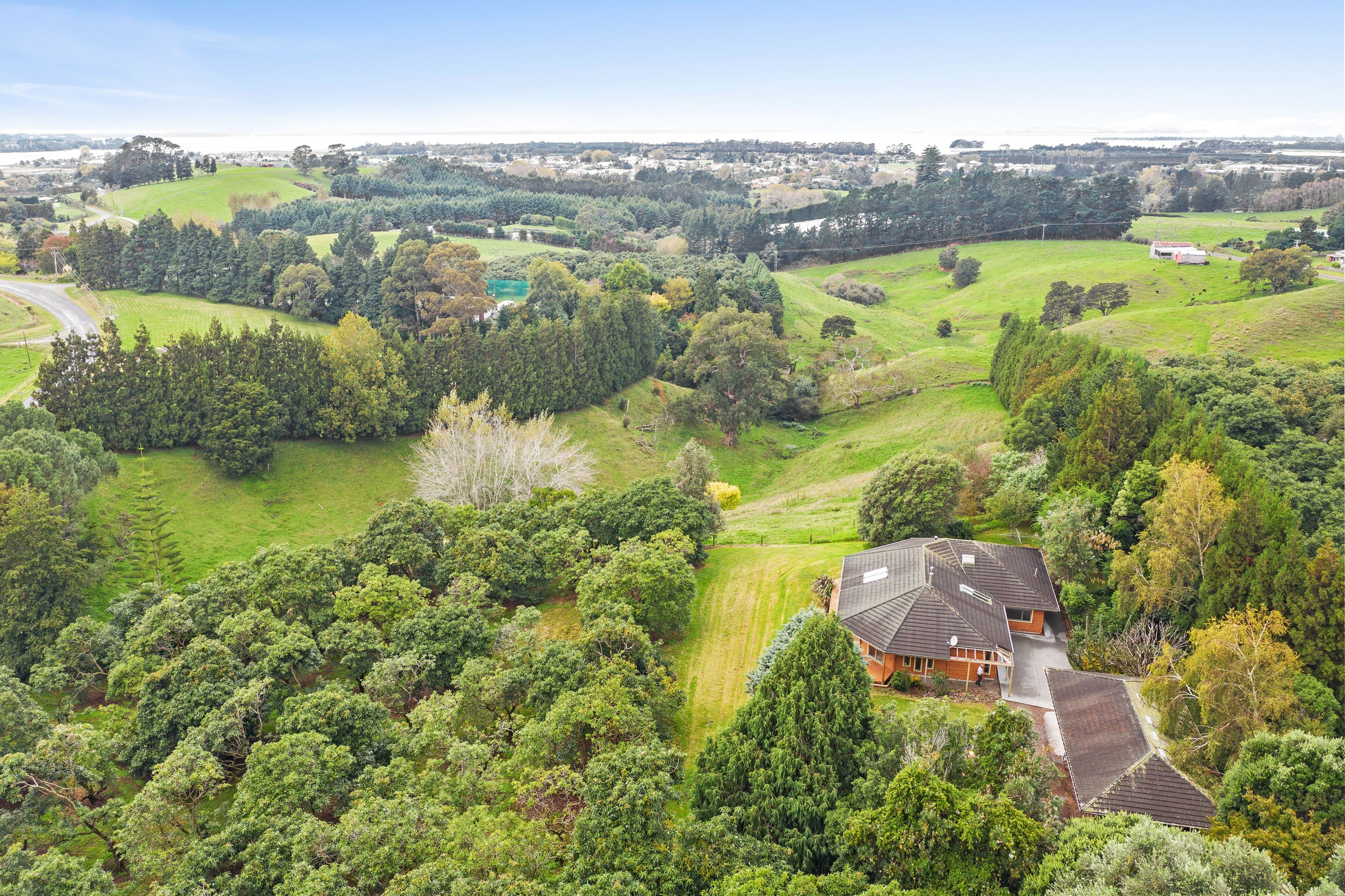 145 Busby Road, Katikati, Western Bay Of Plenty, Bay of Plenty | Tall Poppy 