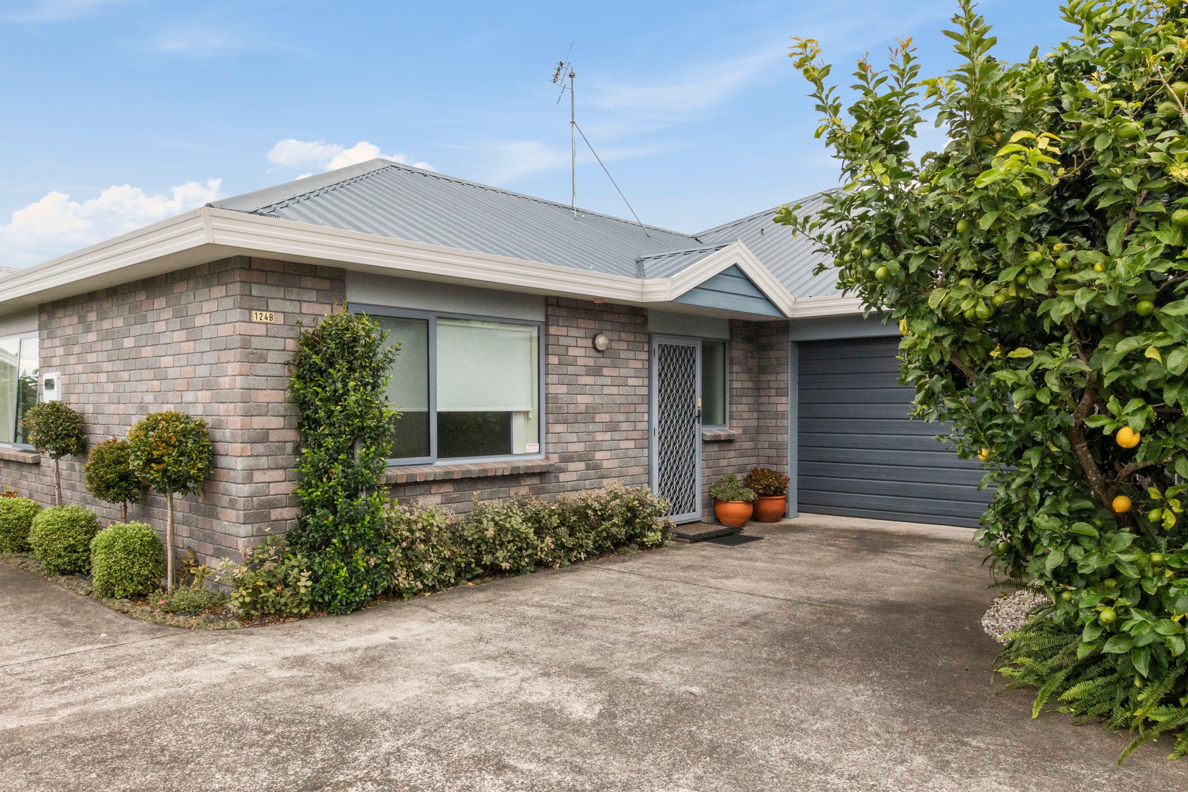 124B Wills Road, Katikati, Western Bay Of Plenty, Bay of Plenty | Tall Poppy 