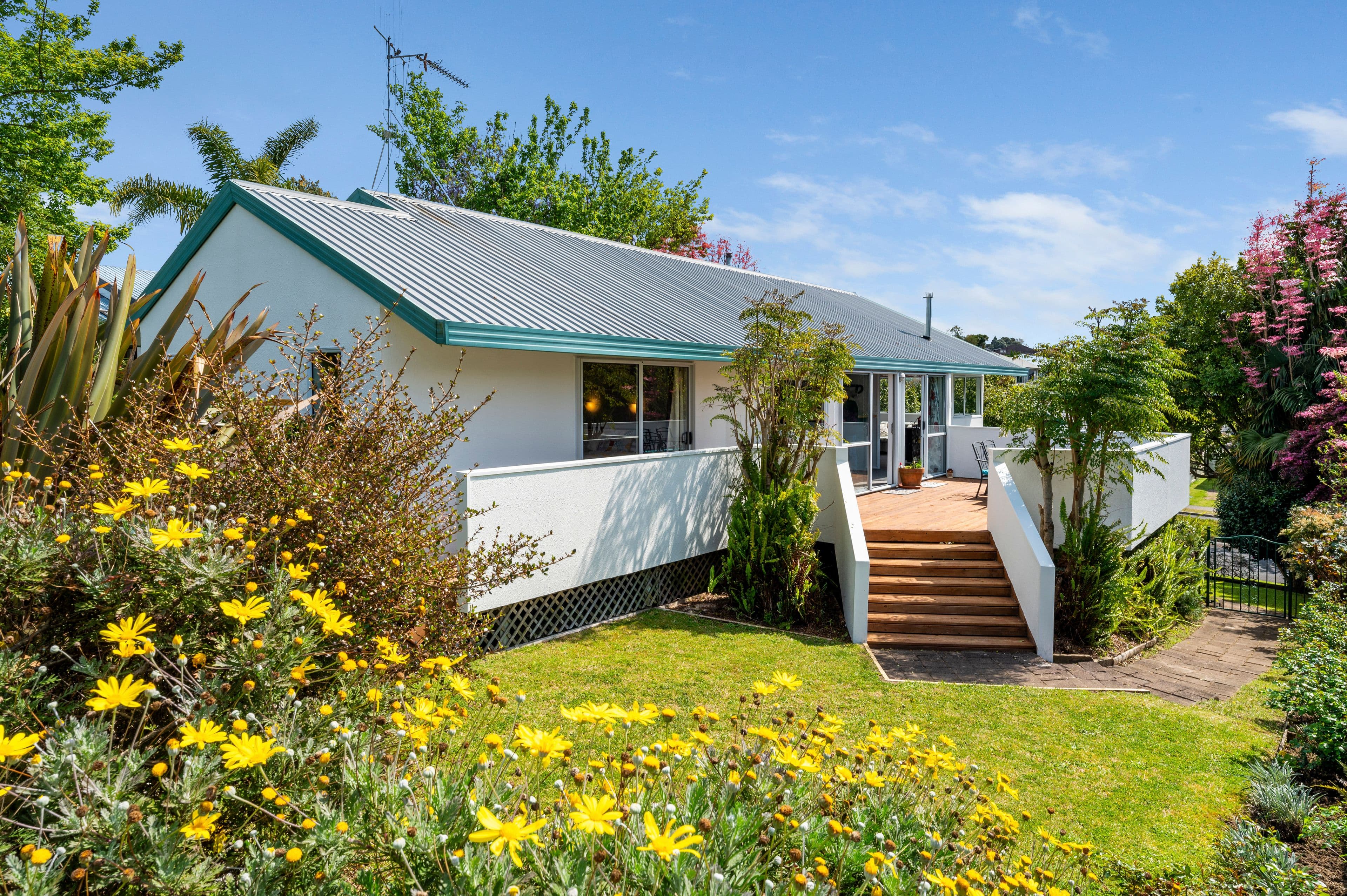 72 Cheyne Road, Pyes Pa, Tauranga, Bay of Plenty | Tall Poppy 