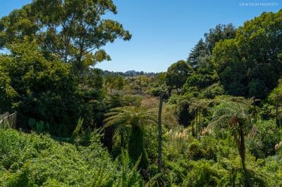 24B Wylie Street, Gate Pa, Tauranga, Bay of Plenty | Tall Poppy 