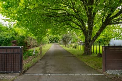 86 Castles Road, Oropi, Tauranga, Bay of Plenty | Tall Poppy 