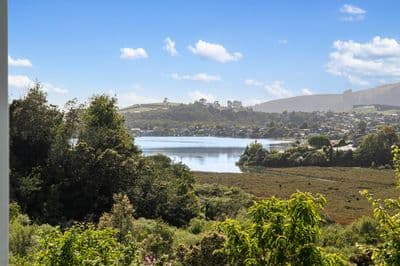 80 Hammond Street, Welcome Bay, Tauranga, Bay of Plenty | Tall Poppy 