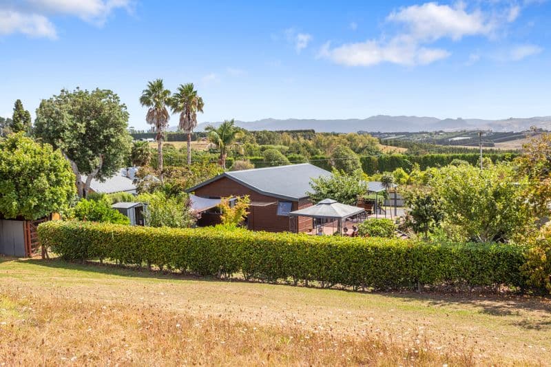 42 Chelmsford Street, Katikati, Western Bay Of Plenty, Bay of Plenty | Tall Poppy 