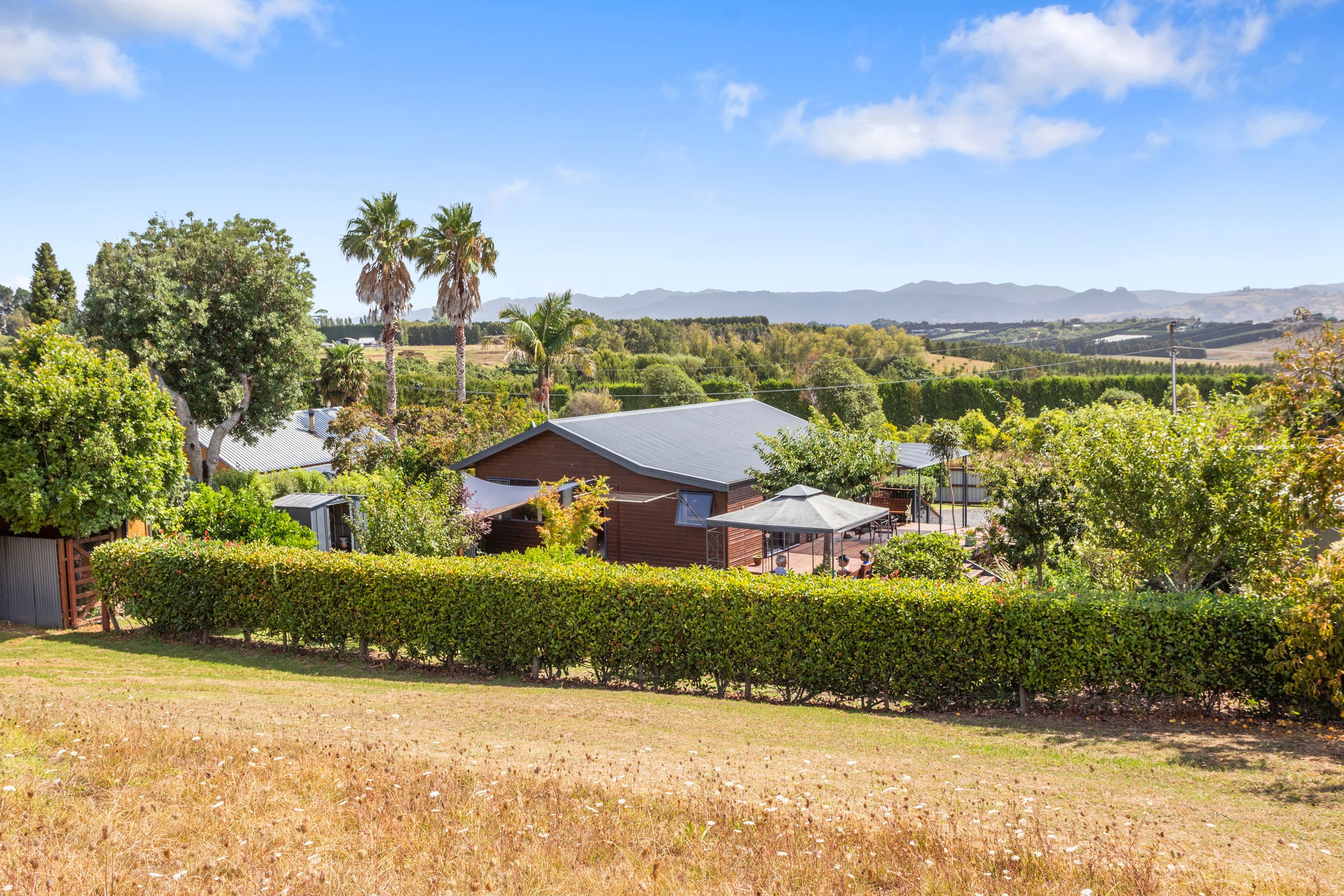 42 Chelmsford Street, Katikati, Western Bay Of Plenty, Bay of Plenty | Tall Poppy 