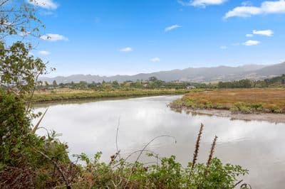 16 Riverlea Drive, Katikati, Western Bay Of Plenty, Bay of Plenty | Tall Poppy 