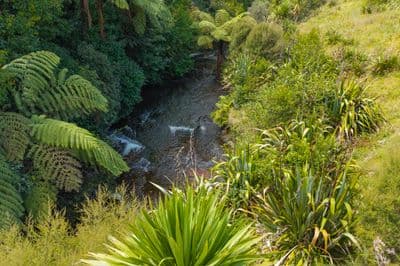 105 Adler Drive, Ohauiti, Tauranga, Bay of Plenty | Tall Poppy 