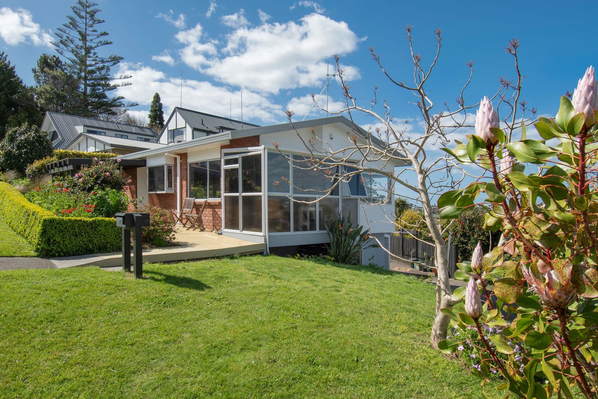 213 Bellevue Road, Bellevue, Tauranga, Bay of Plenty | Tall Poppy 