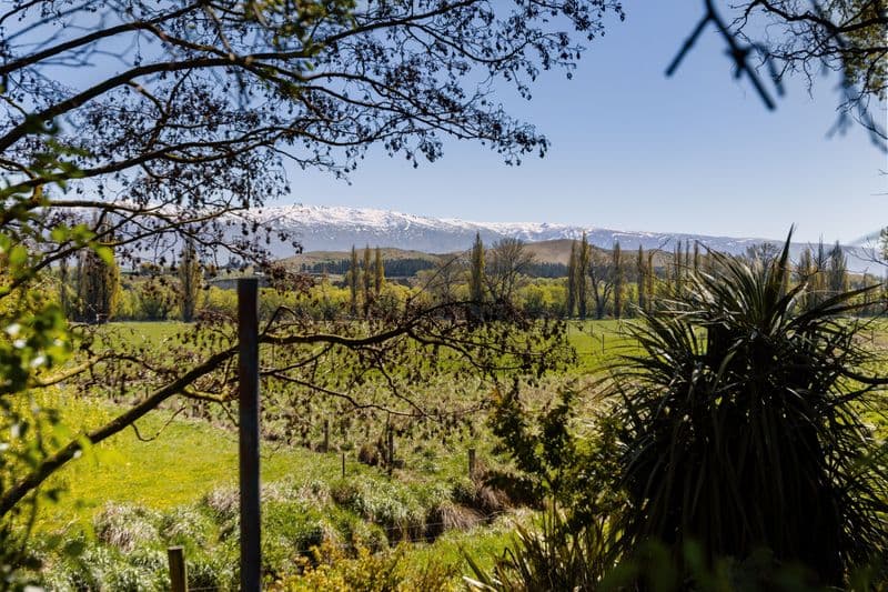 189 Fisher Lane, Alexandra, Central Otago, Otago | Tall Poppy 