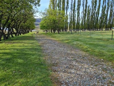 522 Conroys Road, Alexandra, Central Otago, Otago | Tall Poppy 
