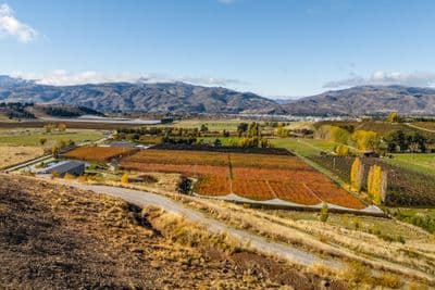 Lots 5-9 Fairview Lane, Cromwell, Central Otago, Otago | Tall Poppy 
