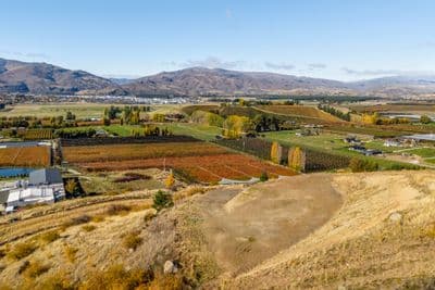 Lots 5-9 Fairview Lane, Cromwell, Central Otago, Otago | Tall Poppy 