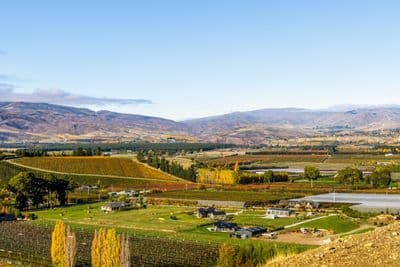 Lots 5-9 Fairview Lane, Cromwell, Central Otago, Otago | Tall Poppy 