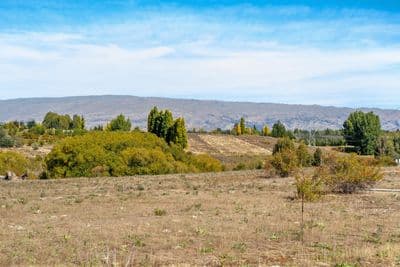 Lot 2 Ferris Road, Springvale, Central Otago, Otago | Tall Poppy 