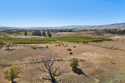 Lot 2 Ferris Road, Springvale, Central Otago, Otago | Tall Poppy 