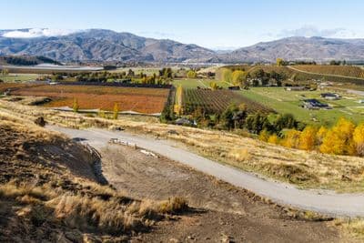 Lot 7 Fairview Lane, Cromwell, Central Otago, Otago | Tall Poppy 