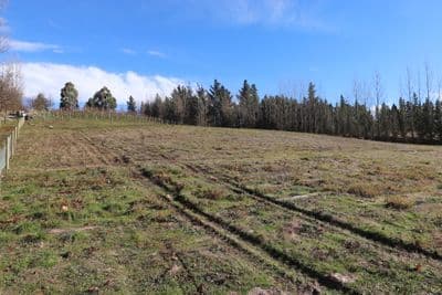Lot 2 241 Letts Gully Road, Alexandra, Central Otago, Otago | Tall Poppy 