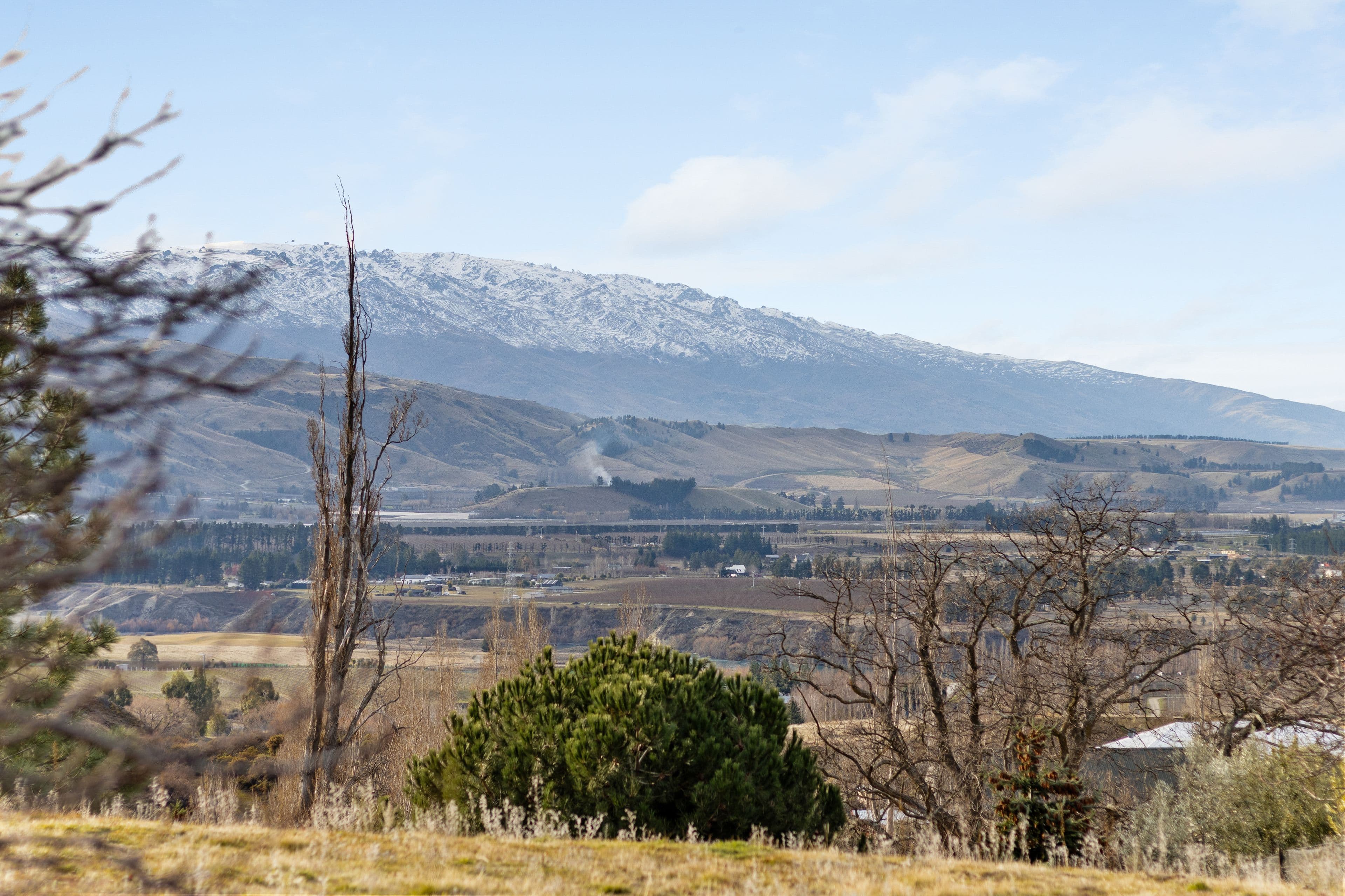 LOT 4 Hall Road, Bannockburn, Cromwell, Central Otago, Otago | Tall Poppy 