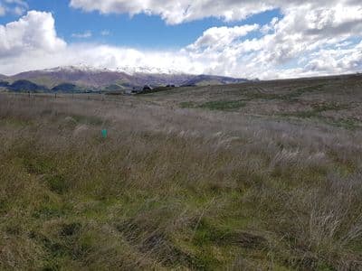 Lot 1 133 Nelson Ridge Road, Alexandra, Central Otago, Otago | Tall Poppy 