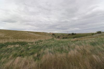 Lot 1 133 Nelson Ridge Road, Alexandra, Central Otago, Otago | Tall Poppy 