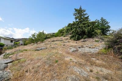 Lot 1 18 The Half Mile, Bridge Hill, Central Otago, Otago | Tall Poppy 