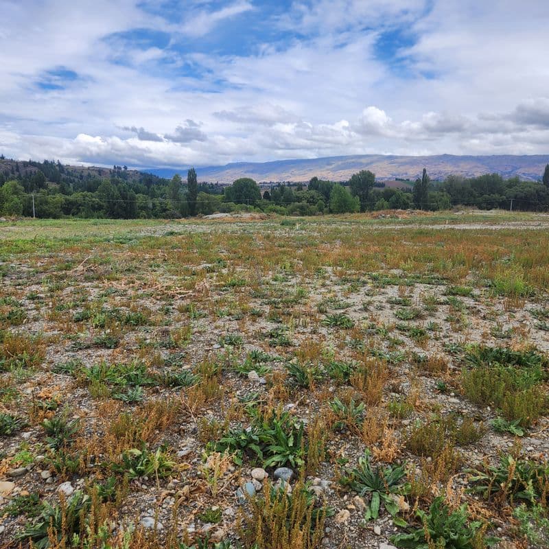Lot 2 Theyers Street, Alexandra, Central Otago