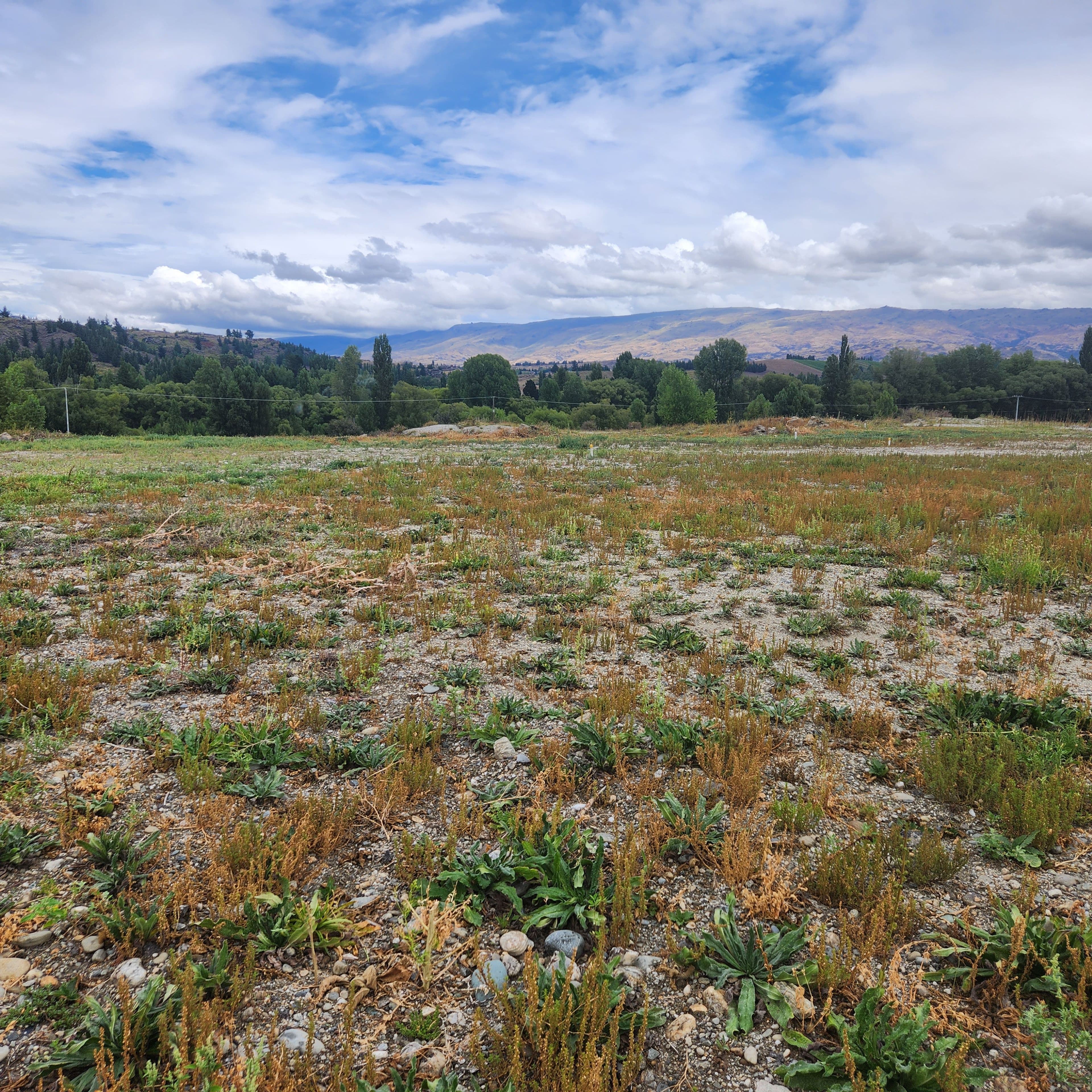 Lot 1 and 2 Theyers Street, Alexandra, Central Otago, Otago | Tall Poppy 