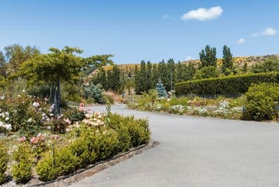 4 Lowburn Valley Road, Cromwell, Central Otago, Otago | Tall Poppy 
