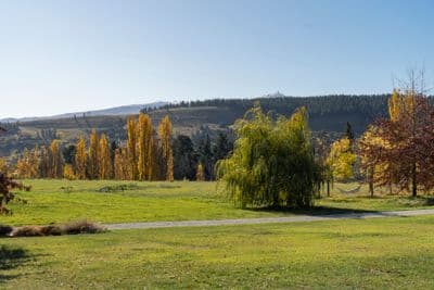 8 Paulin Road, Clyde, Central Otago, Otago | Tall Poppy 