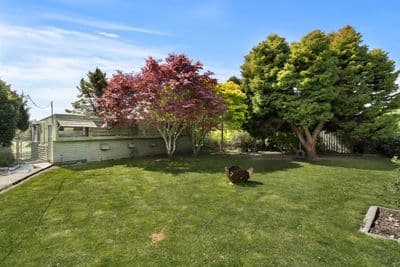 3 Brough Street, Palmerston, Waitaki, Otago | Tall Poppy 