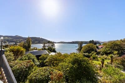 19 Shandon Street, Roseneath, Dunedin City, Otago | Tall Poppy 