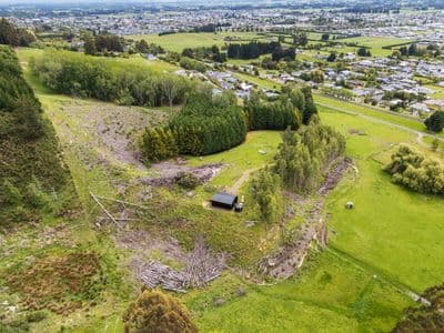 238 Gladstone Road, Mosgiel, Dunedin City, Otago | Tall Poppy 