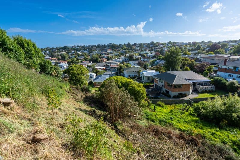 16 Aitken Place, Mornington, Dunedin City, Otago | Tall Poppy 