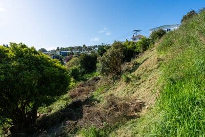 16 Aitken Place, Mornington, Dunedin City, Otago | Tall Poppy 