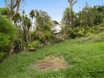 7 Chelivode Street, Waitati, Dunedin City, Otago | Tall Poppy 