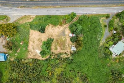 251 Coast Road, Warrington, Dunedin City, Otago | Tall Poppy 