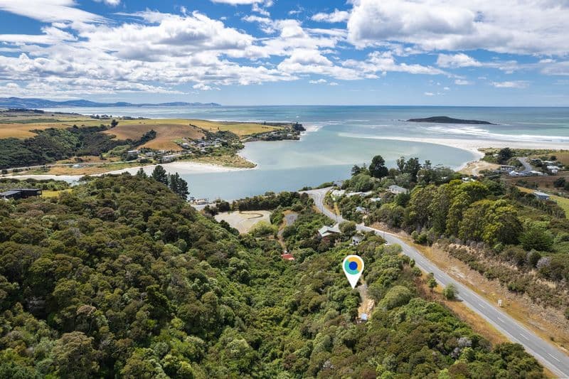 1161 Finlayson Road, Taieri Mouth, Clutha, Otago | Tall Poppy 