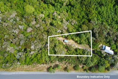 1161 Finlayson Road, Taieri Mouth, Clutha, Otago | Tall Poppy 