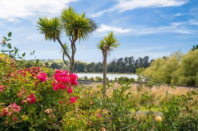 63 Dame Street, Waikouaiti, Dunedin City, Otago | Tall Poppy 