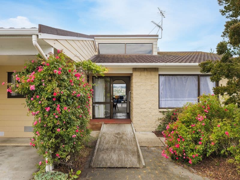 2C Renfrew Street, Balaclava, Dunedin City, Otago | Tall Poppy 