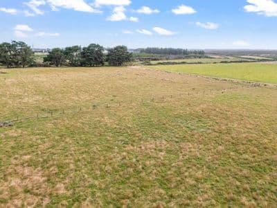 559 Tiwai Road, Invercargill, Invercargill City, Southland | Tall Poppy 