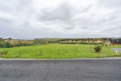 22 Ara Pahu Bay, Curio Bay, Southland, Southland | Tall Poppy 