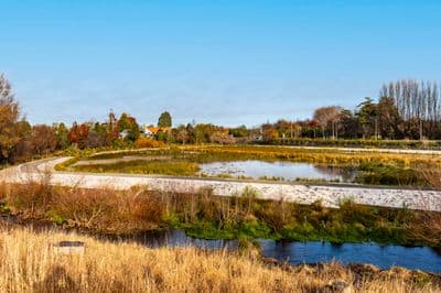 Lots 1-21 15 Cunliffe Road, Redwood, Christchurch City, Canterbury | Tall Poppy 