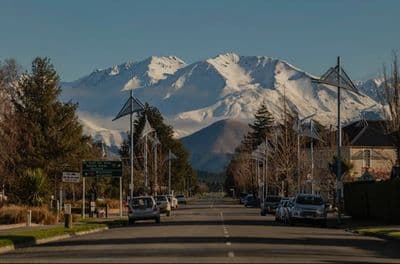 43 Holmes Rd, Camrose Estate, Methven, Ashburton, Canterbury | Tall Poppy 