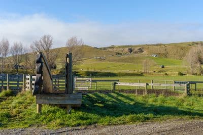 4 Baxters Road, Waipara, Hurunui, Canterbury | Tall Poppy 