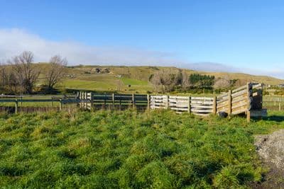4 Baxters Road, Waipara, Hurunui, Canterbury | Tall Poppy 