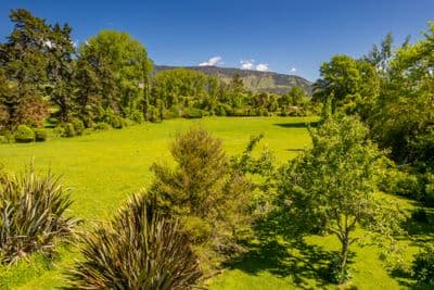 295 Tadmor-Bushend Road, Tapawera, Tasman, Nelson | Tall Poppy 